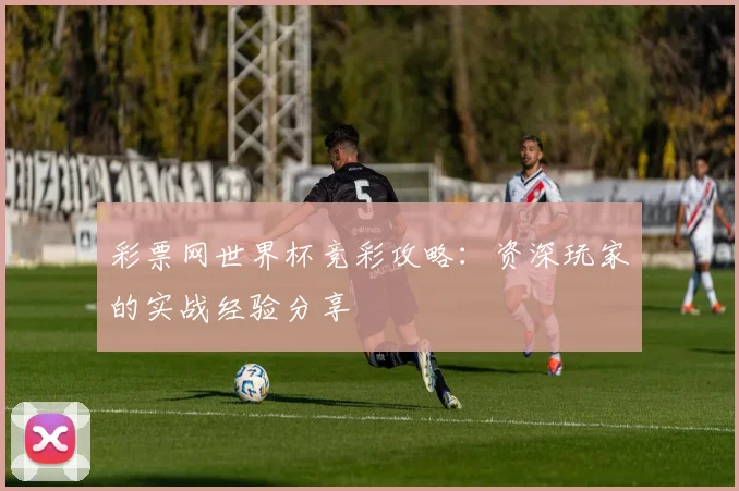 彩票网世界杯竞彩攻略：资深玩家的实战经验分享