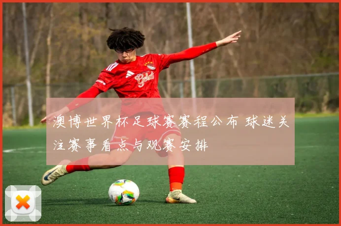 澳博世界杯足球赛赛程公布 球迷关注赛事看点与观赛安排